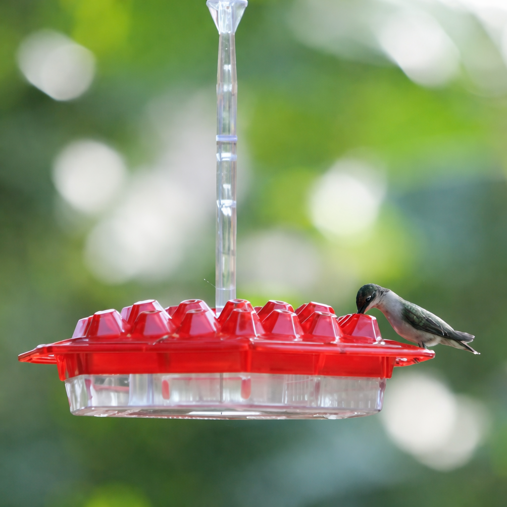 Hummingbird Feeder Hanging Nectar Dispenser Outdoor Garden